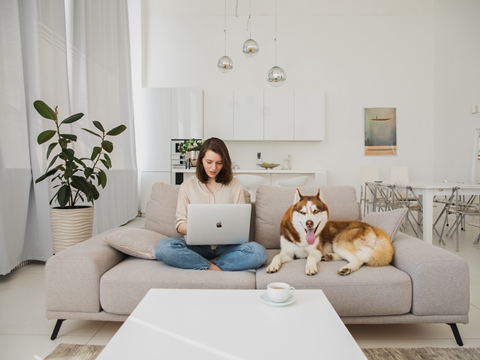 美國注冊公司條件、所需材料、過程、注意事項！