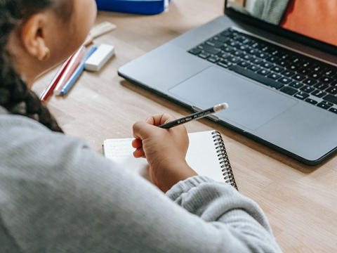 在美國(guó)注冊(cè)一家科羅拉多公司有很多好處！